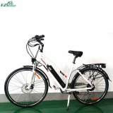 Electric Bike TDF04